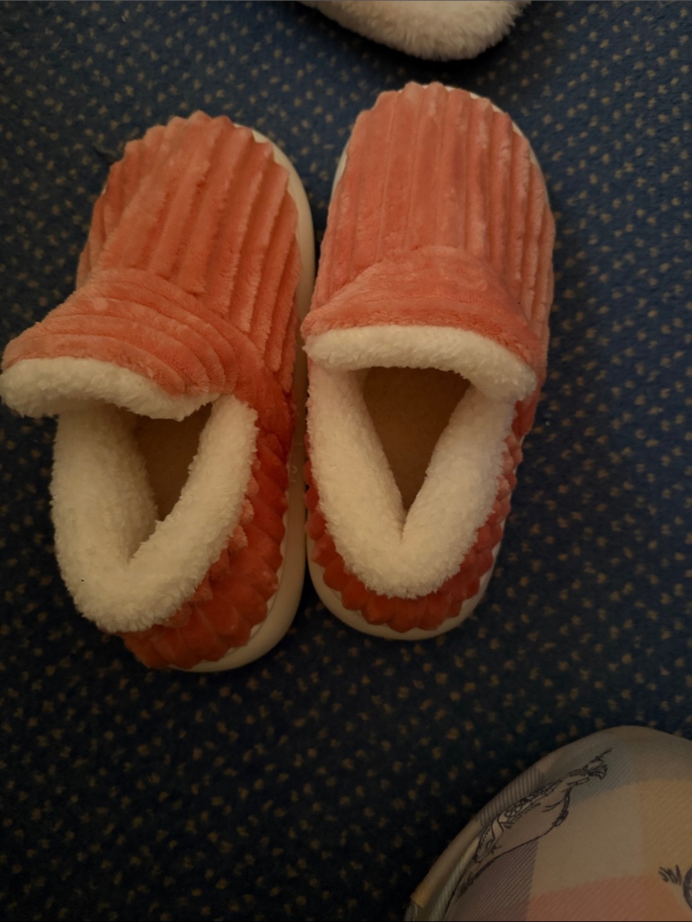 Cozy Coral Plush Slip-On Slippers